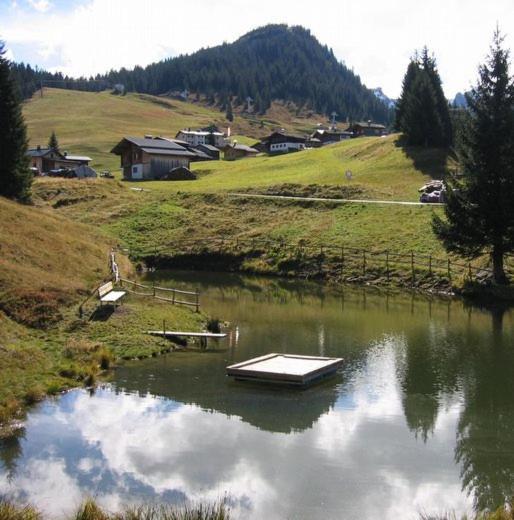 Dreimaederlhaus Lägenhet Sankt Gallenkirch Exteriör bild